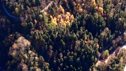 湖南八大公山国家级自然保护区：让生物保护与科普教育双向共生 