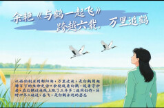 文漫相遇丨余艳《与鹤一起飞》：跨越六载，万里追鹤