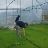 昔日“空壳村”今成“产业股”！花垣吉卫镇“三变”改革做对了什么？