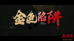 《金色陷阱》丨第六届“守住钱袋子，护好幸福家”防范非法金融活动短视频征集大赛（湖南赛区）优秀作品奖②