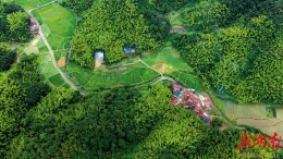 曾天雄 余文茜：以高效能治理促进高质量发展和高水平安全良性互动