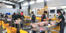 汉寿小龙虾走俏全国