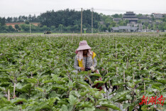 全国经济媒体永州行⑧｜从文脉古城到产业新城——永州实体经济稳步提质蓄势上行@湖南日报要闻头条