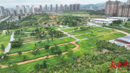 闲置地变“打卡地” 城市更新“秀”出新风景