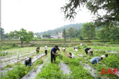 党建联建聚合力 实干服务暖民心