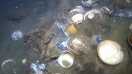 挪威海域发现18世纪沉船 大量中国瓷器重见天日