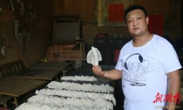 开局八好 乘势而上丨“雪裙仙子”撑开村民“致富伞”  衡阳市：建好百万“菜园子”，托稳“菜篮子”