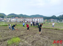 大塅村党群服务进入田间地头