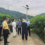科技“及时雨”下田！专家把脉林下经济，开出“实操宝典”