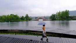 生态修复  湖景如画