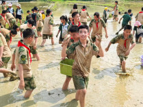 浏阳市：小农夫当“向导”，城里娃下泥田——城乡学生手拉手 插秧、摸鱼嗨翻天