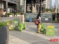 毛孩子乐园成儿童游乐场，长沙宠物友好设施集体“跑偏”
