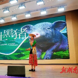 溆浦县科技局：依托赛事赋能 推动科技成果转化提质增效