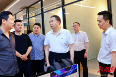 毛万春在马栏山集团调研