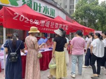 系统升级“空窗期”，雨花区把社保政务服务送到群众身边