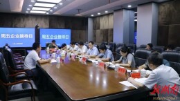 蓝山县举行“周五企业接待日”座谈接待活动