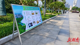 湘潭市各地六五环境日宣传倡赴“绿色之约”