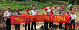 湖南益健霖公益插秧行动破解隆回乡村“用工难”