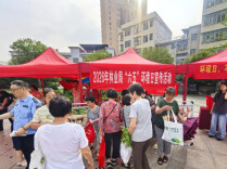 涟源市林业局开展“六五”环境日宣传活动