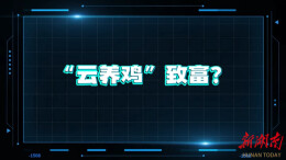 《“云养鸡”致富？警惕非法集资陷阱》丨第六届“守住钱袋子，护好幸福家”防范非法金融活动短视频征集大赛（湖南赛区）优秀作品奖⑮