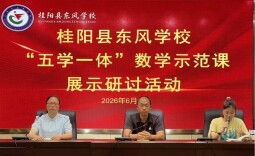 桂阳县东风学校开展数学示范课展示暨专题培训活动