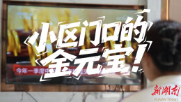 《小区门口的金元宝》丨第六届“守住钱袋子，护好幸福家”防范非法金融活动短视频征集大赛（湖南赛区）优秀作品奖⑬