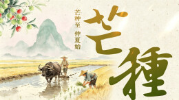 海报丨芒种至 仲夏始