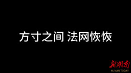 《方寸之间，法网恢恢》丨第六届“守住钱袋子，护好幸福家”防范非法金融活动短视频征集大赛（湖南赛区）优秀作品奖⑱