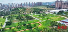 鹤城区：闲置地变“打卡地” ，城市更新“秀”出新风景