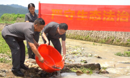 绥宁：司法护航绿色转型 碧水修复守护生态家园