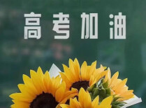 多地调整机关单位高考期间上班时间，避开考生赶考时间段