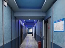 中央考核巡查组专家：你们的管理人员都在这做样子，没有人去管！