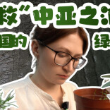拯救“中亚之泪”——来自中国的绿色答卷