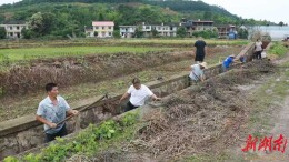 精管细护让良田“久用常新” 衡南高标准农田建设管护双向发力