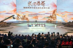 海峡两岸中医生活化创享大会在衡阳启幕