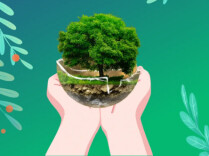 冷水滩区林业局开展2026年六五世界环境日宣传活动