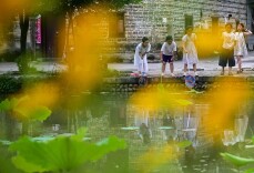组图丨资兴流华湾：荷映古村迎客来