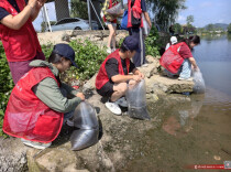 组图丨郴州：5万尾鱼苗放流飞天山翠江水域
