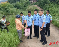 采不得！邵东公安上山“清菇”守安全