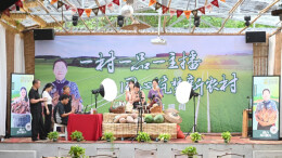 “一村一品一主播”真把湖南乡村带火了