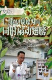 1.5亿只蝴蝶为何同时扇动翅膀