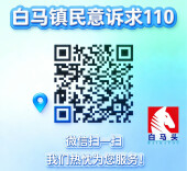 涟源白马镇：民意诉求110赋能基层治理