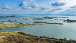 两千公里，只为看鹤：在吉林向海，记录湿地边走走停停的瞬间