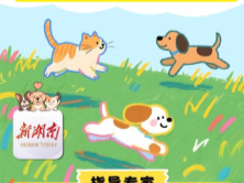 撸宠一时爽，受伤别慌张！狂犬病防控知识点来了