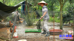 资兴：干部上门、媒体传播、市民下单！爱心助农让深山土货变“俏货”