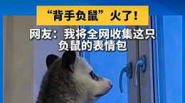 看见窗边“背手负鼠”，看见职场年轻人