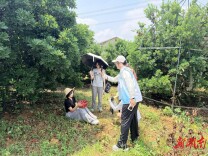 青春助农 湖师大学子为茶亭镇农文旅添力