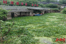 衡南县谭子山镇：清淤疏浚保畅通 筑牢防汛“安全墙”