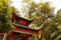 邹文辉：湖南红色文化的深层根基与时代生命力