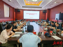 专家把脉问诊新化黄精 技术赋能产业转型升级